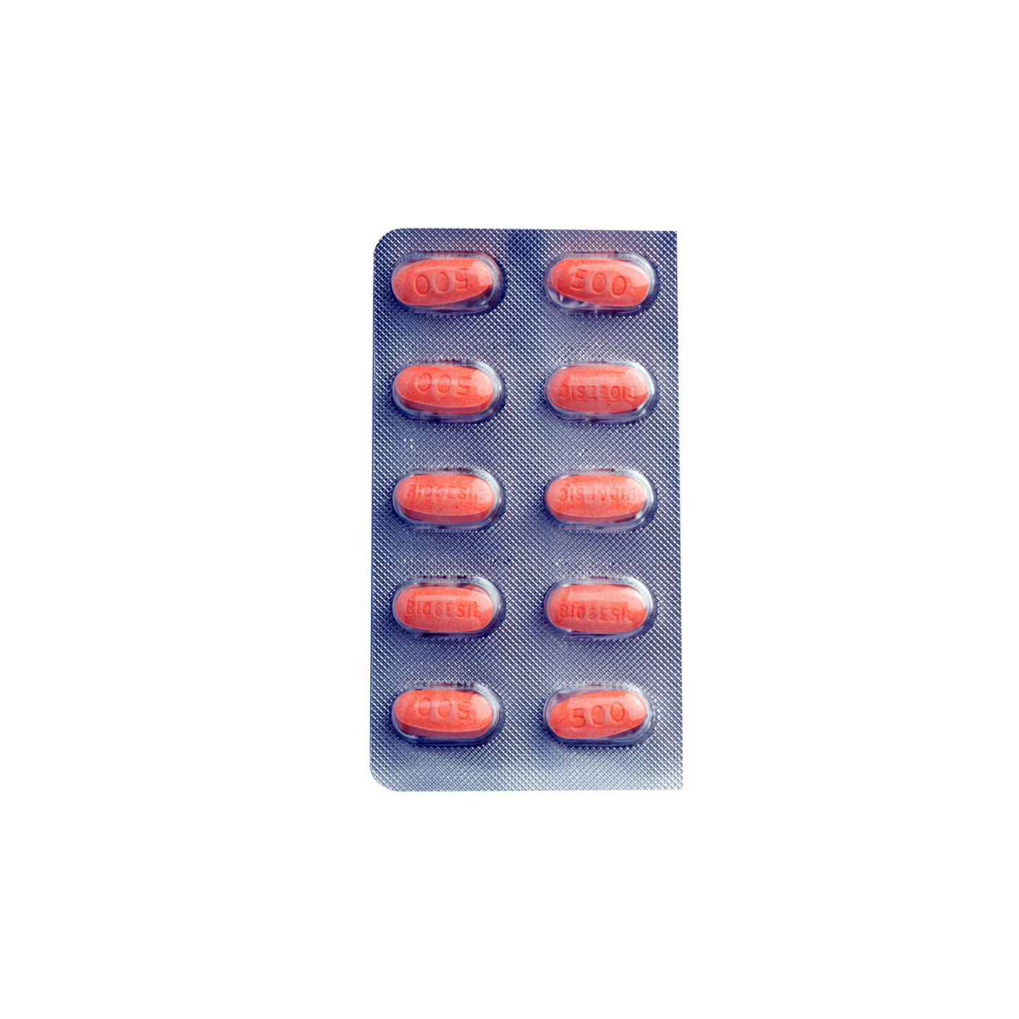 PARACETAMOL BIOGESIC 500MG 10 TABLETS