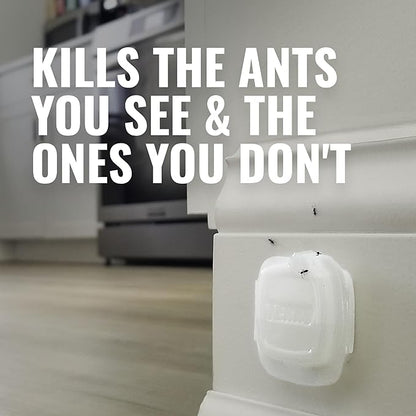 Terro Ant Trap and Bait Stations Indoor 4 Bait Traps
