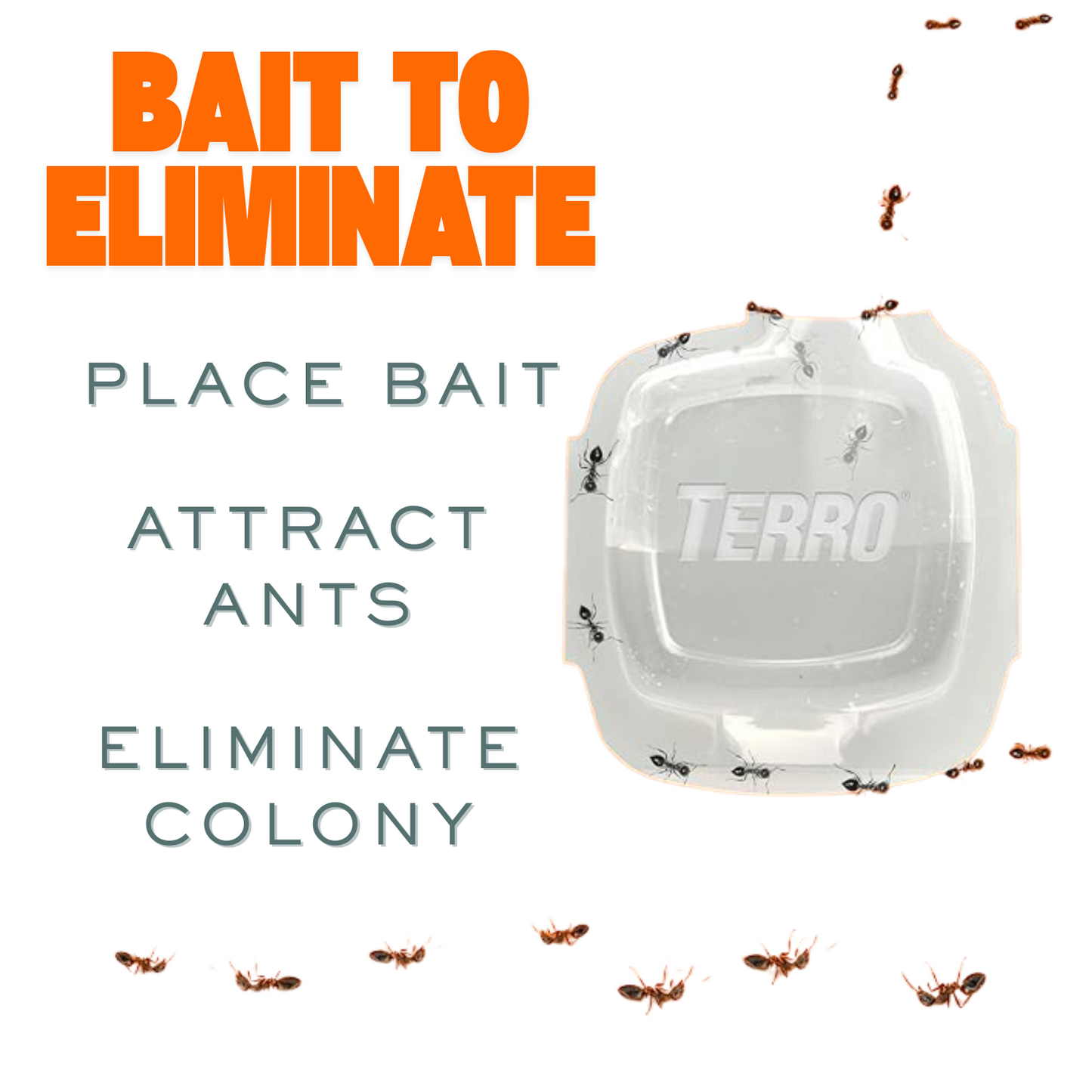 Terro Ant Trap and Bait Stations Indoor 4 Bait Traps
