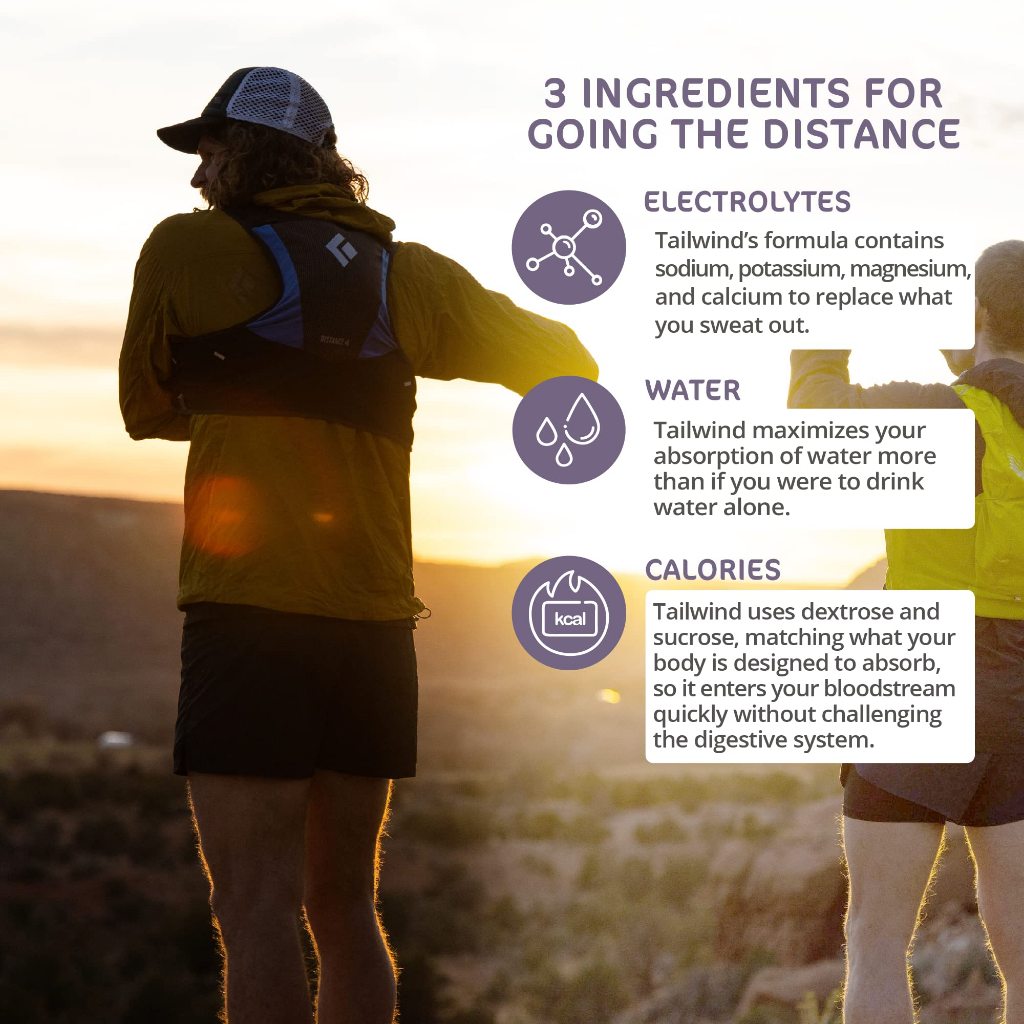 TAILWIND – ENDURANCE FUEL BERRY ELECTROLYTE DRINK MIX 54g